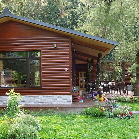 Puli Star Garden B&B Bilik gambar